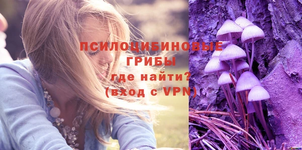 ПСИЛОЦИБИНОВЫЕ ГРИБЫ Белокуриха