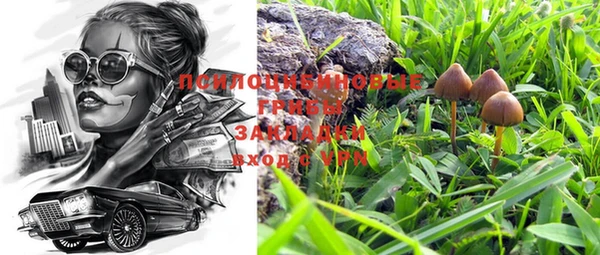 ПСИЛОЦИБИНОВЫЕ ГРИБЫ Белокуриха