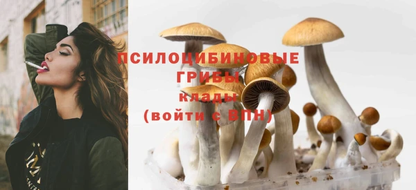 ПСИЛОЦИБИНОВЫЕ ГРИБЫ Белокуриха