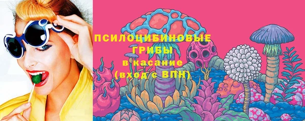 ПСИЛОЦИБИНОВЫЕ ГРИБЫ Белокуриха