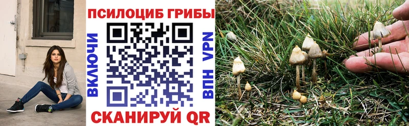 наркота  blacksprut tor  Галлюциногенные грибы Magic Shrooms  Рязань 